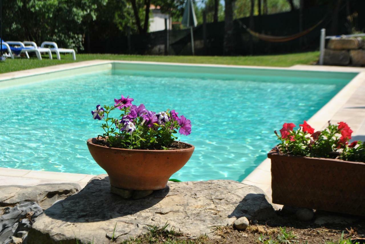 A Casa Di Giulia Apartment Siena Bagian luar foto